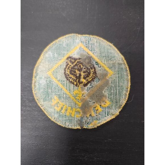 Vintage BSA Den Chief Patch Cub Scouts Round Bear with Yellow Border Embroidered - Picture 2 of 4